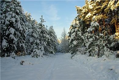 《黑旗》与《碧海黑帆》对比视频 看看有何差别